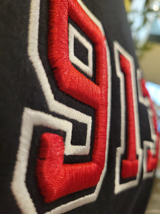 3D Puff Founding Year Sweatshirt Delta FREE SHIPPING